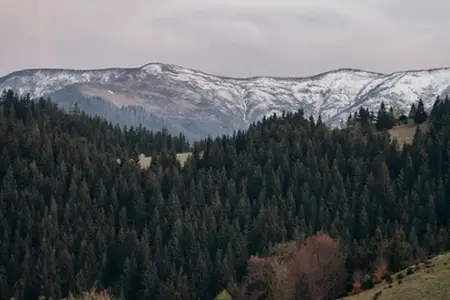 Achiziționarea Vinietei pentru Autostrăzi din România și Sfaturi de Călătorie