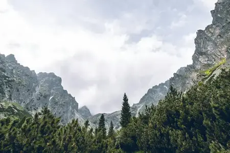 Autostrăzile din Slovacia și destinațiile lor disponibile