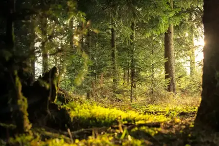 Experiențe în Slovenia pentru călătorii cu mașina
