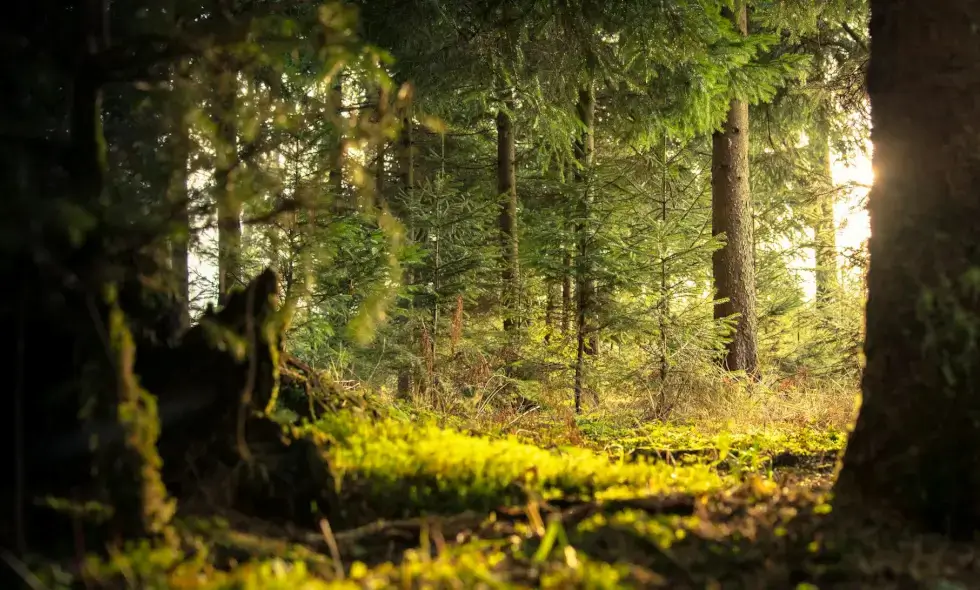 Experiențe în Slovenia pentru călătorii cu mașina
